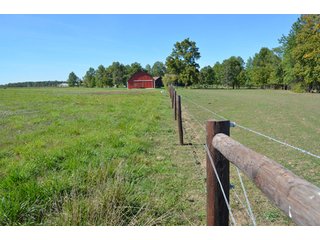 Property photo 13 - 80 +/- Acres Offered in 6 Tracts - Spectacular Farm & Home